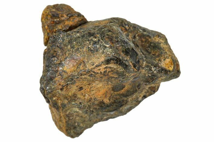 Pallasite Meteorite ( g) - NWA #367763